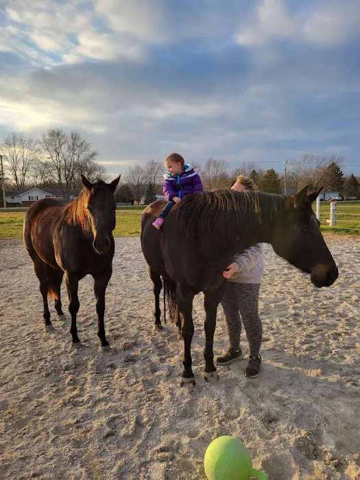 Countryside Animal Clinic 12