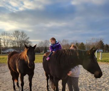 Countryside Animal Clinic