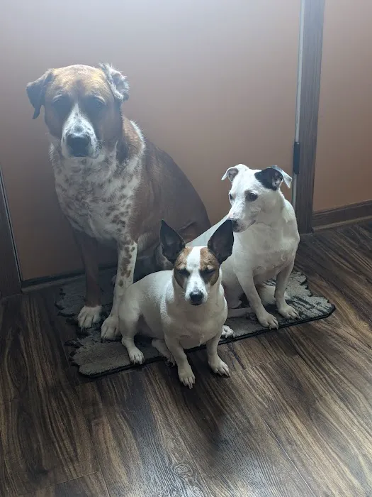 Countryside Animal Clinic 12