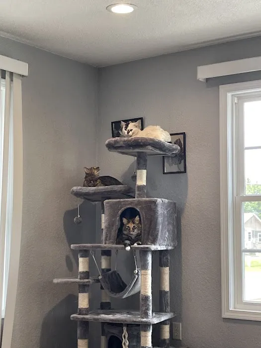 Northwest Veterinary Hospital 12
