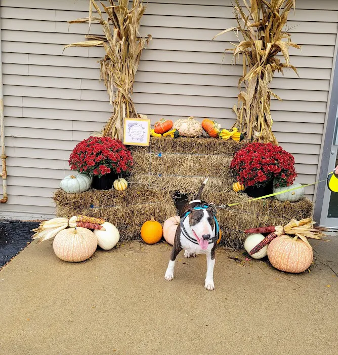 Kelly Veterinary Clinic 5