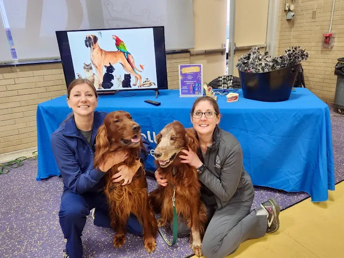 Kelly Veterinary Clinic 1