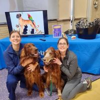 Kelly Veterinary Clinic ico
