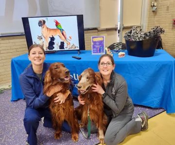Kelly Veterinary Clinic