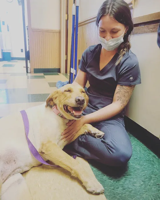 Kelly Veterinary Clinic 3