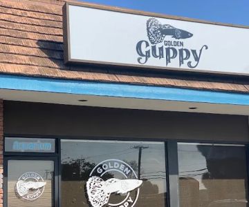 Golden Guppy Aquarium