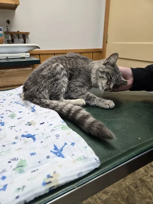 Adrian Animal Clinic 8