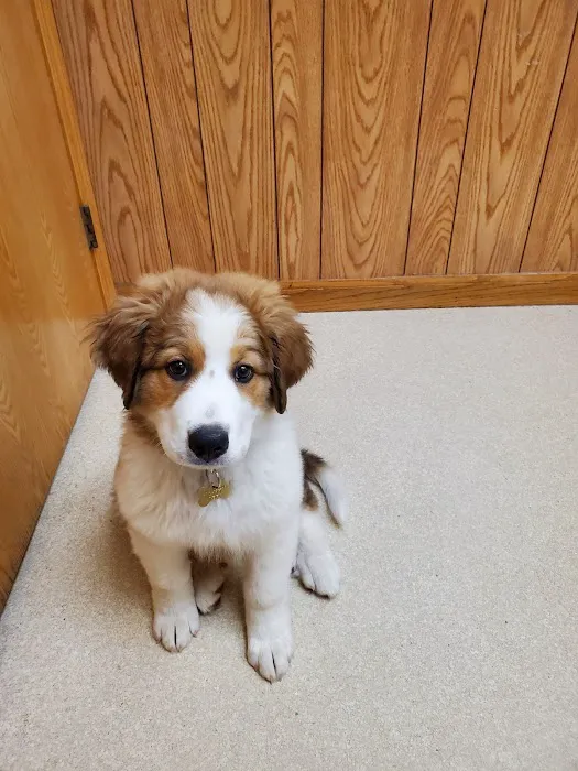 High Point Animal Hospital 12