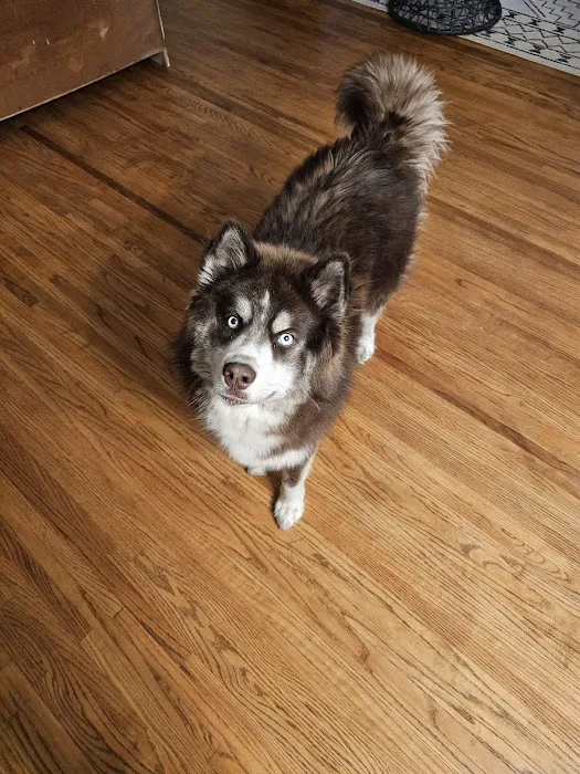 Whitehouse Animal Hospital 12