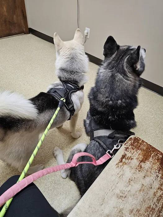 Whitehouse Animal Hospital 12