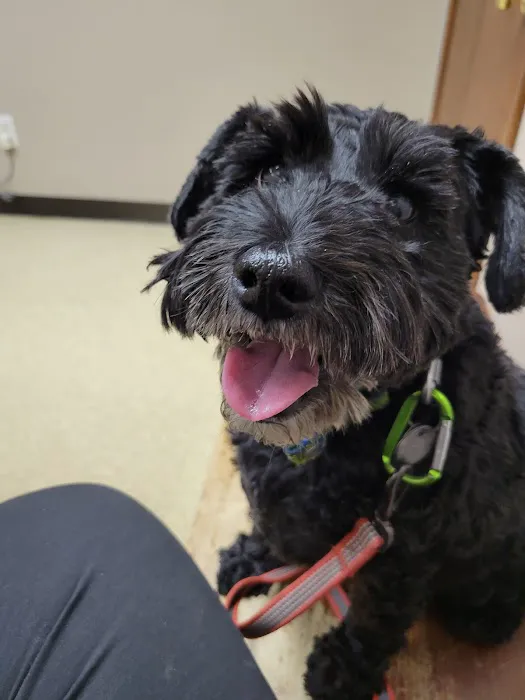 Whitehouse Animal Hospital 12