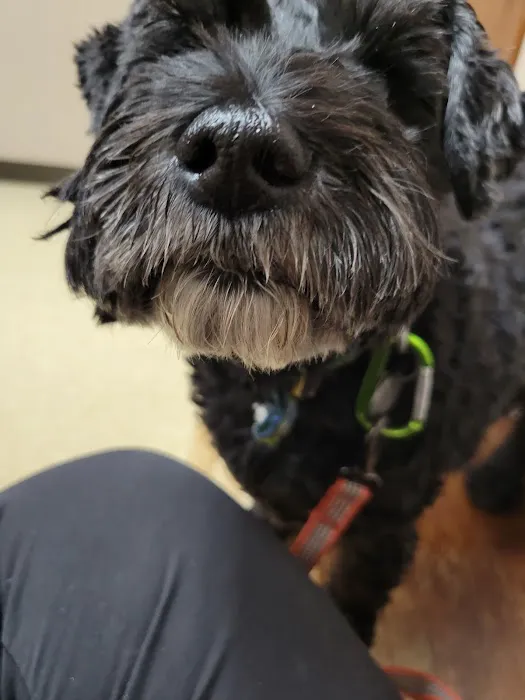 Whitehouse Animal Hospital 12