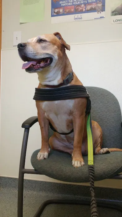 Irwin Avenue Animal Hospital 1