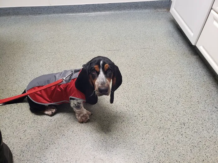Irwin Avenue Animal Hospital 9