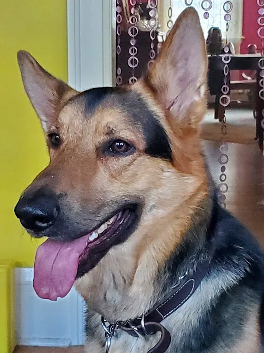 Gaide Veterinary Hospital: Gaudem Dale K DVM 2