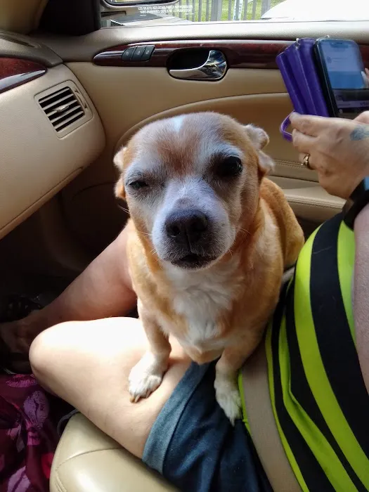 Five Points Animal Hospital 2