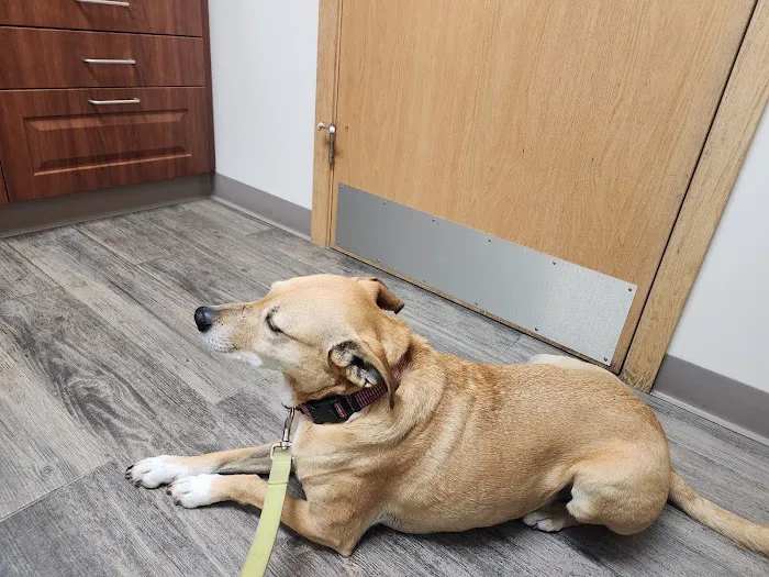 Five Points Animal Hospital 4