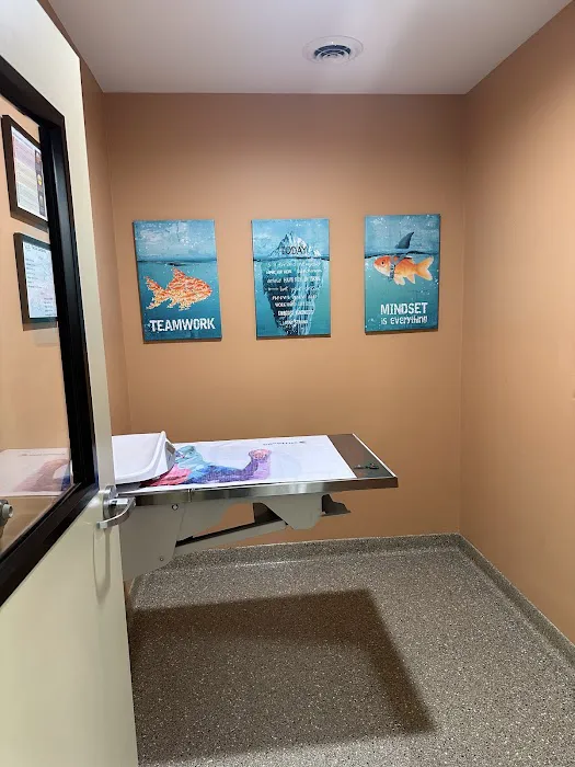 Arbor Hills Veterinary Clinic 2