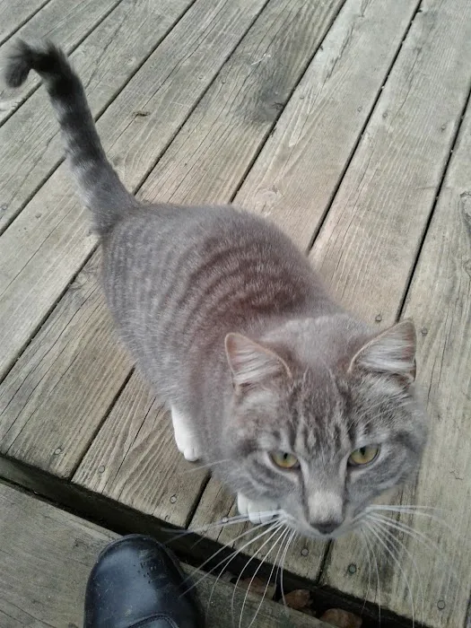 Kibby Park Animal Hospital 4