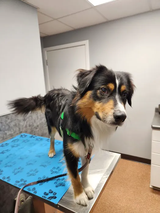 Kibby Park Animal Hospital 1
