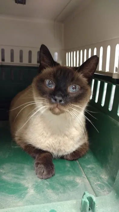 Kibby Park Animal Hospital 2
