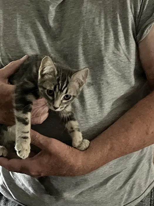 Kibby Park Animal Hospital 3