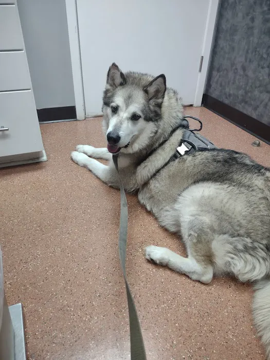 Kibby Park Animal Hospital 8