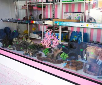 Beverly Pets