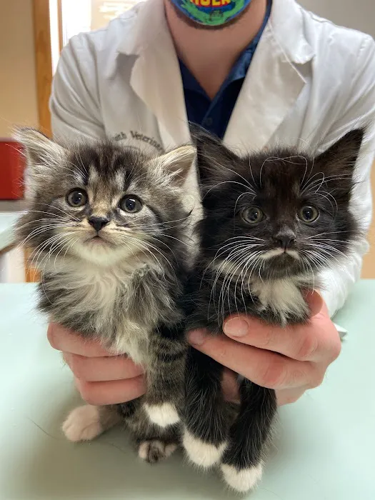 Smith Veterinary Hospital 12
