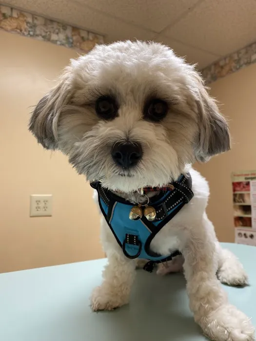 Smith Veterinary Hospital 12