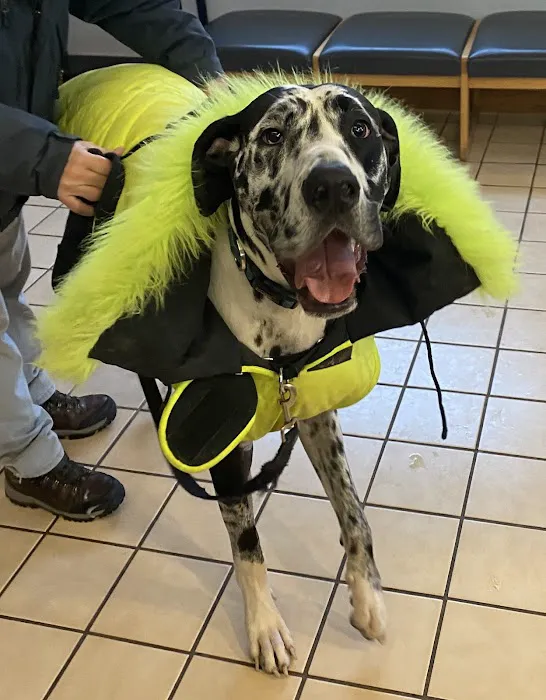 Smith Veterinary Hospital 12