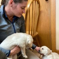 Smith Veterinary Hospital ico