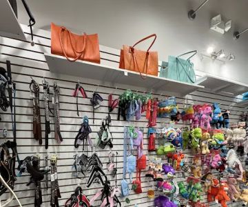 Tailwaggers & Tailwashers Larchmont Village