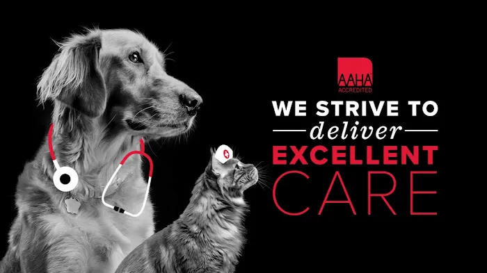Pet Authority Animal Hospital 1