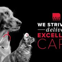Pet Authority Animal Hospital ico