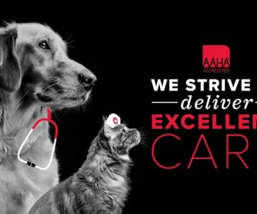 Pet Authority Animal Hospital