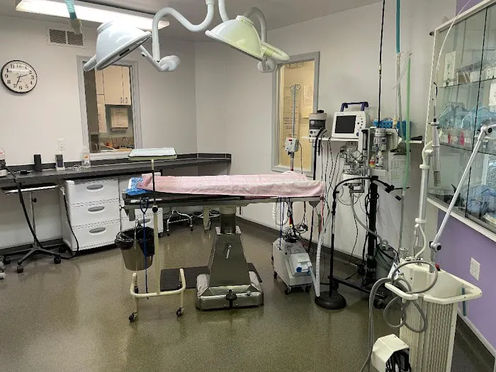 Pet Authority Animal Hospital 8