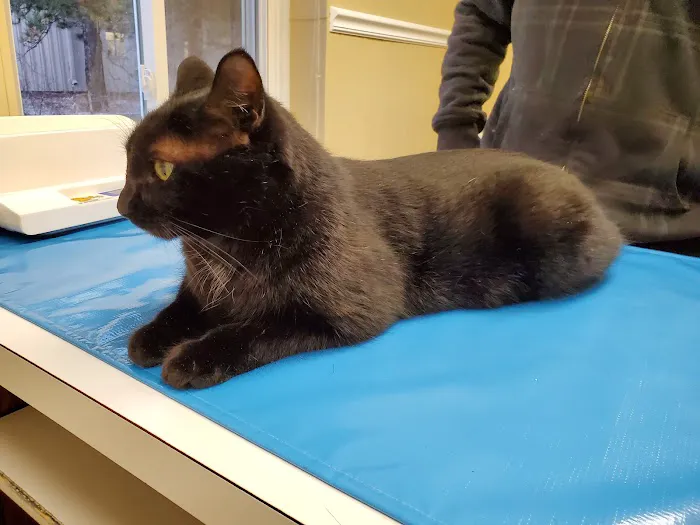 Airport Veterinary Hospital 8