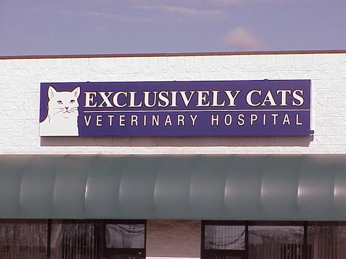 Exclusively Cats Veterinary Hospital 4