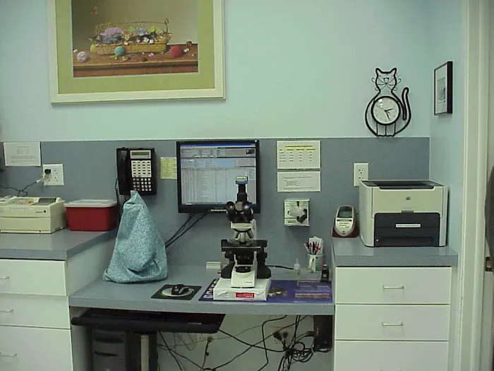 Exclusively Cats Veterinary Hospital 8