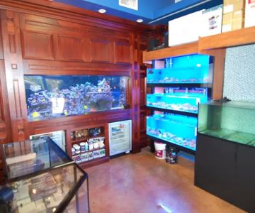SPS Coral Store