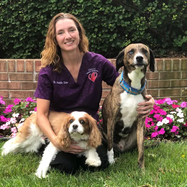 Orion Animal Hospital 7