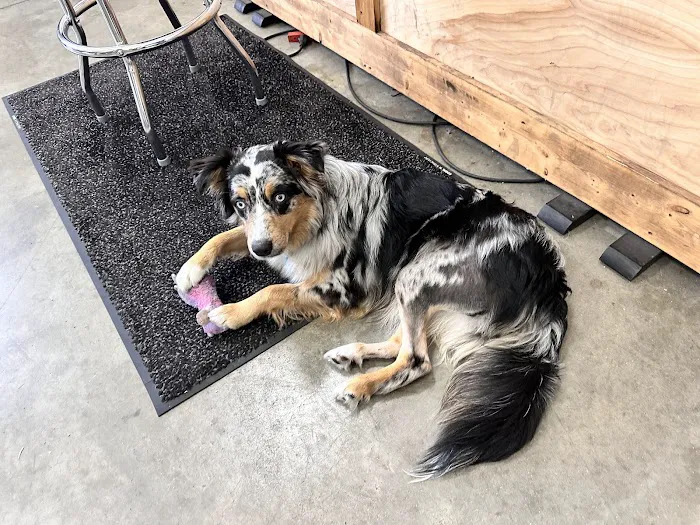 Orion Animal Hospital 1
