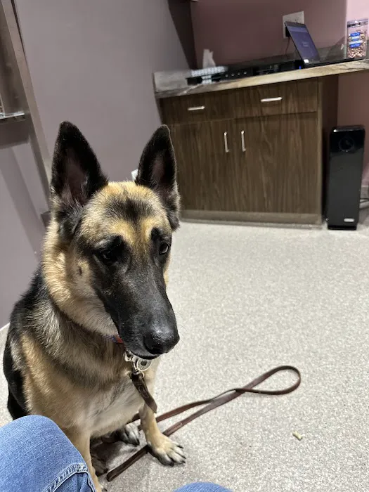 Orion Animal Hospital 8