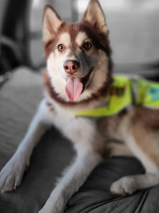 Banfield Pet Hospital 8