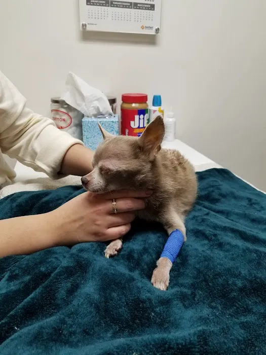 Banfield Pet Hospital 3