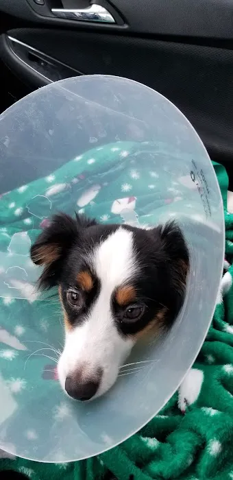 Banfield Pet Hospital 5