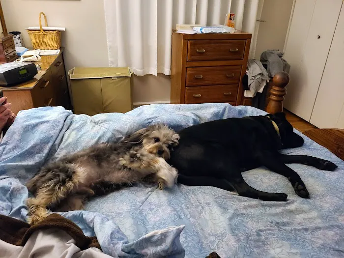Family Pet Practice 5