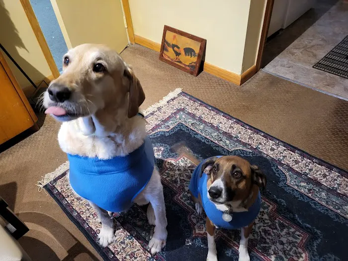 Family Pet Practice 2