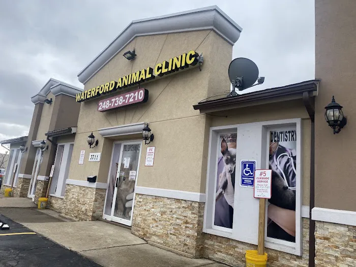 Waterford Animal Clinic 5